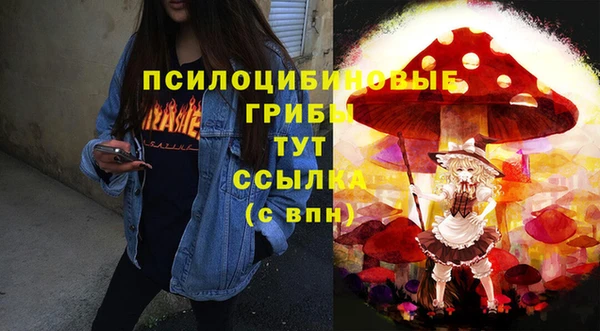 mdpv Осинники