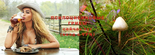 прущие крисы Осташков