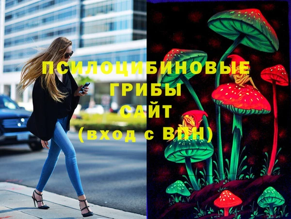 mdpv Осинники