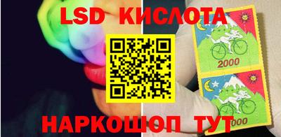 PSILOCYBIN Ипатово