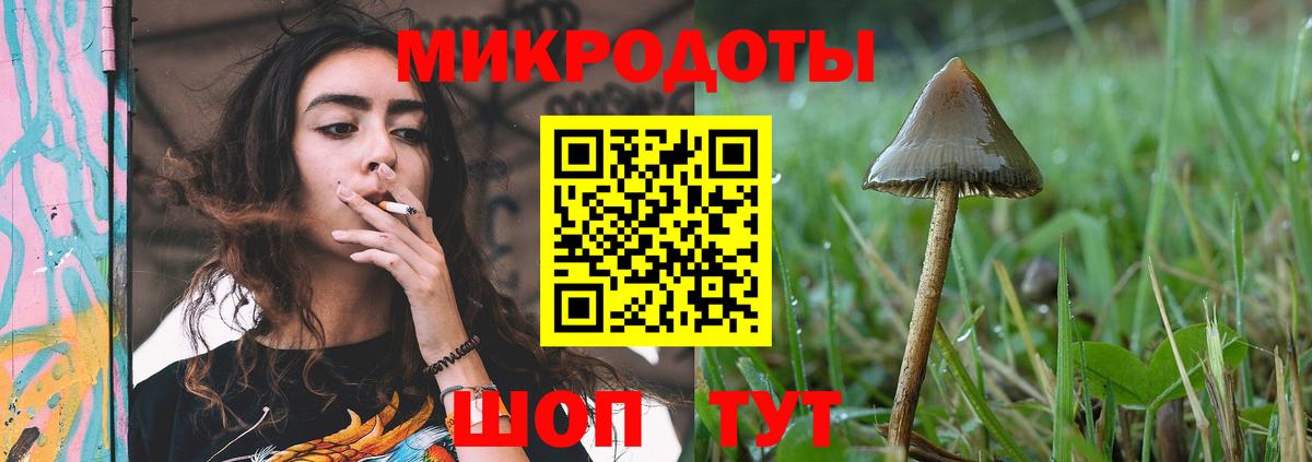 Галлюциногенные грибы Cubensis Рославль